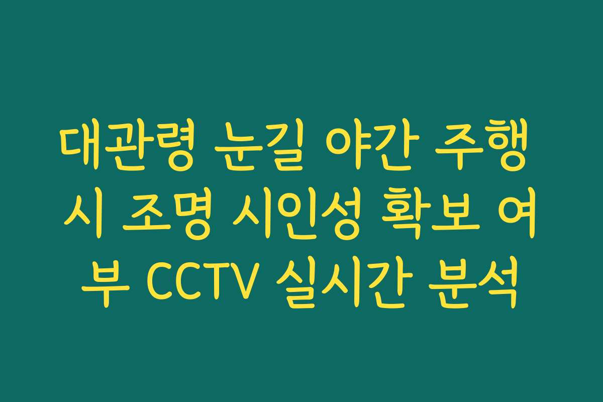 대관령 눈길 야간 주행 시 조명 시인성 확보 여부 CCTV 실시간 분석