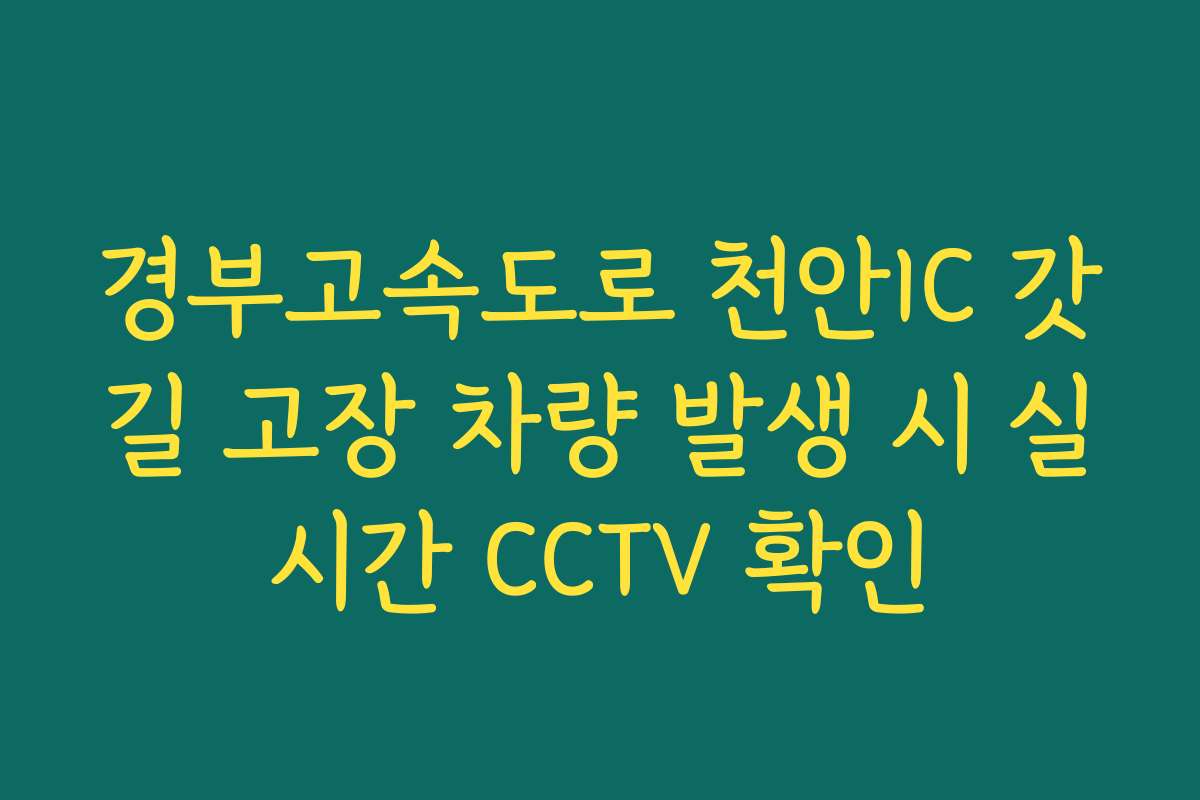 경부고속도로 천안IC 갓길 고장 차량 발생 시 실시간 CCTV 확인