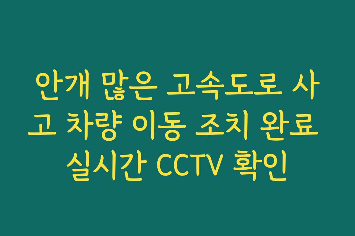 안개 많은 고속도로 사고 차량 이동 조치 완료 실시간 CCTV 확인