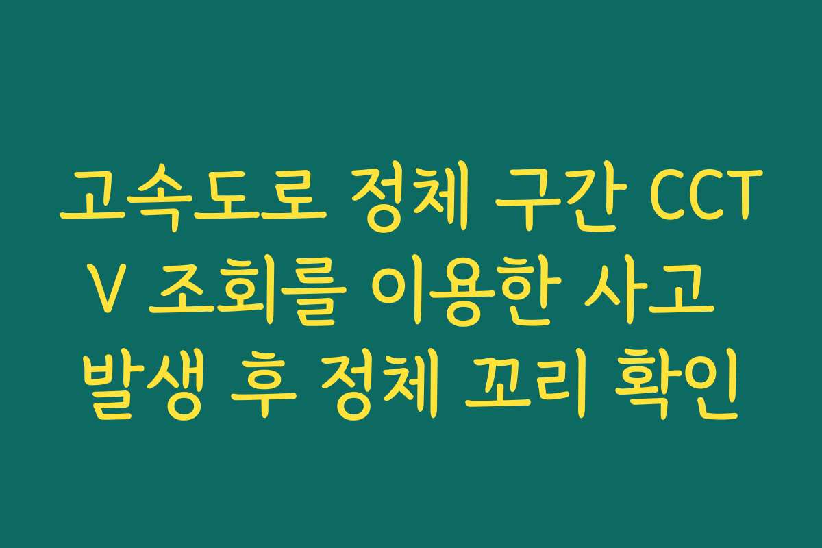 고속도로 정체 구간 CCTV 조회를 이용한 사고 발생 후 정체 꼬리 확인