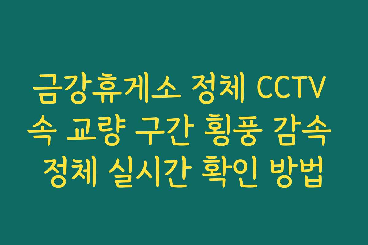 금강휴게소 정체 CCTV 속 교량 구간 횡풍 감속 정체 실시간 확인 방법