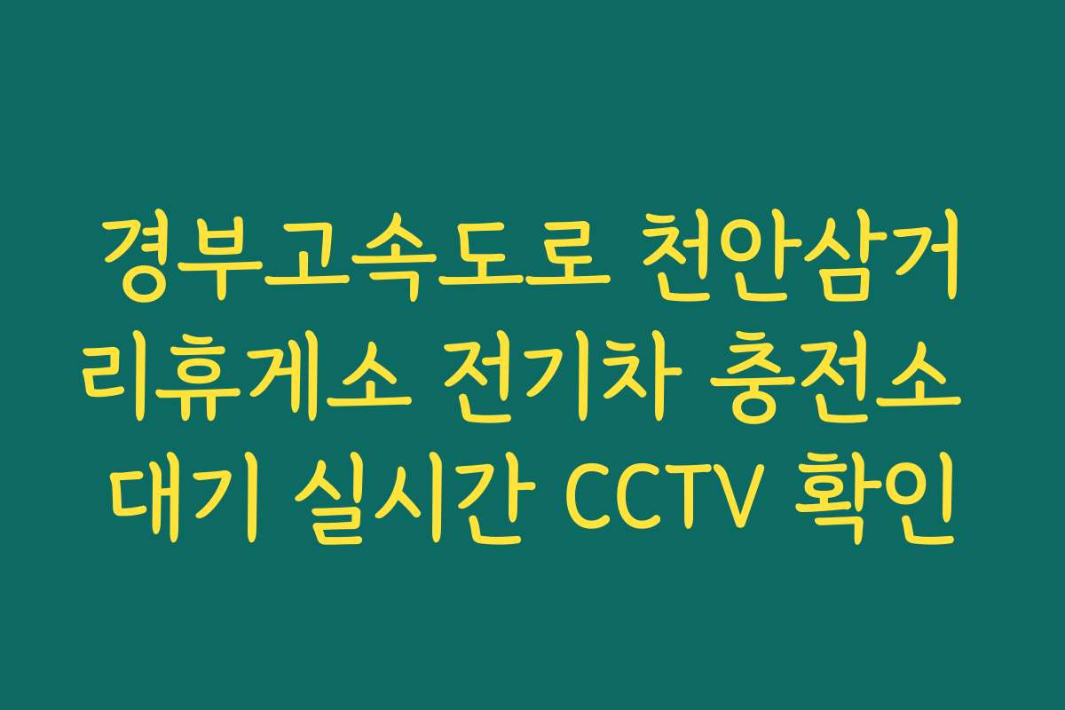 경부고속도로 천안삼거리휴게소 전기차 충전소 대기 실시간 CCTV 확인