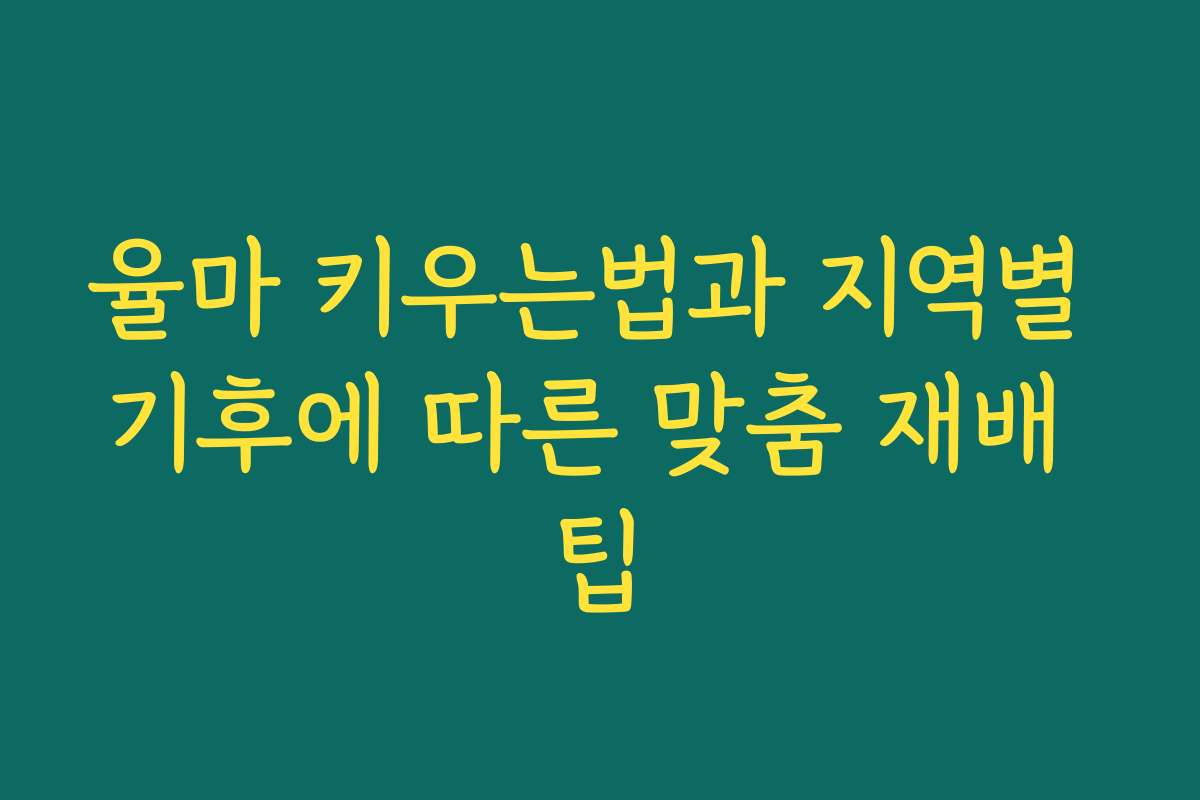 율마 키우는법과 지역별 기후에 따른 맞춤 재배 팁