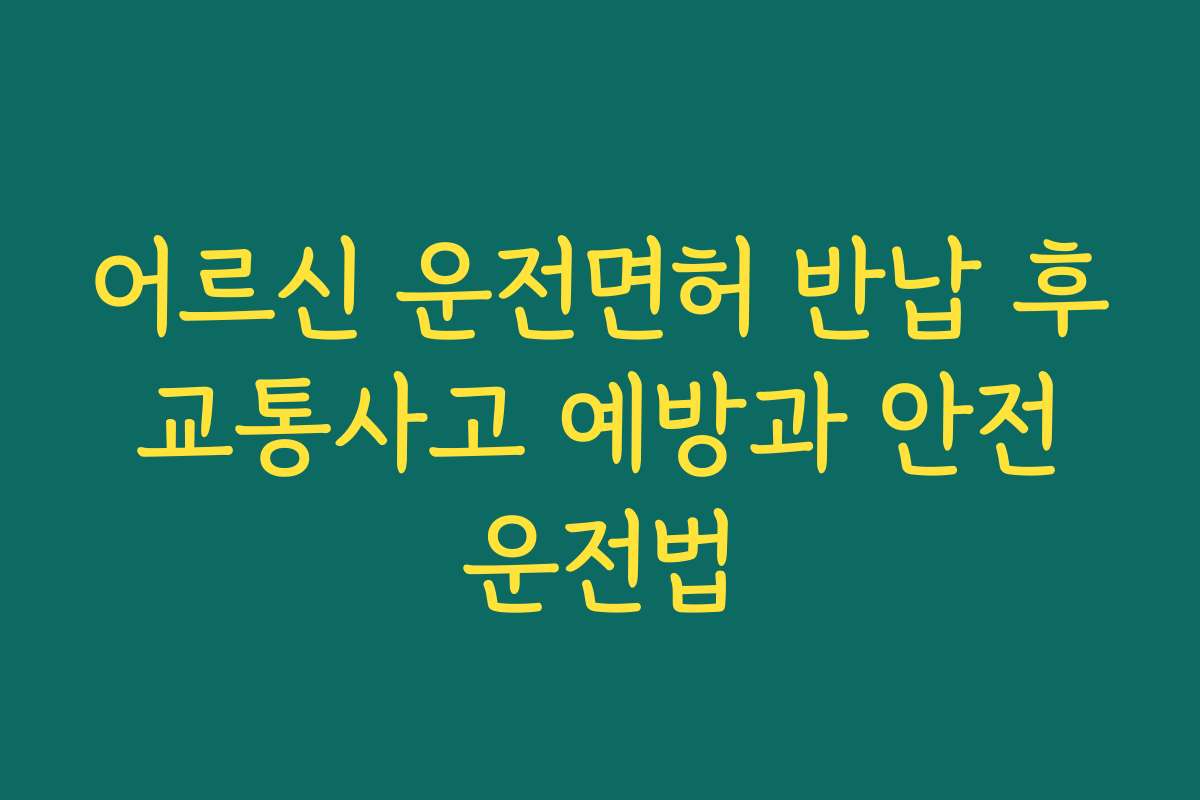 어르신 운전면허 반납 후 교통사고 예방과 안전 운전법