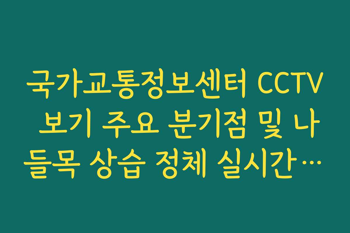 국가교통정보센터 CCTV 보기 주요 분기점 및 나들목 상습 정체 실시간 분석