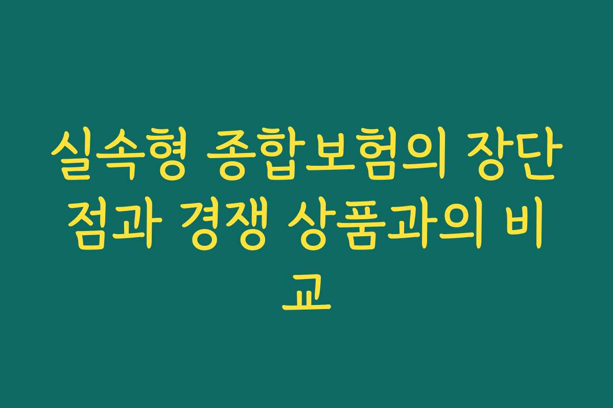 실속형 종합보험의 장단점과 경쟁 상품과의 비교