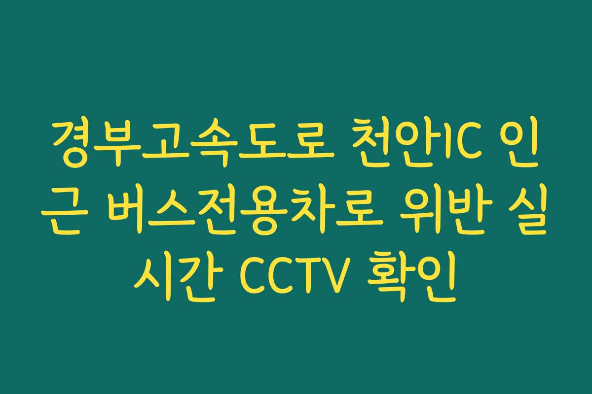 경부고속도로 천안IC 인근 버스전용차로 위반 실시간 CCTV 확인
