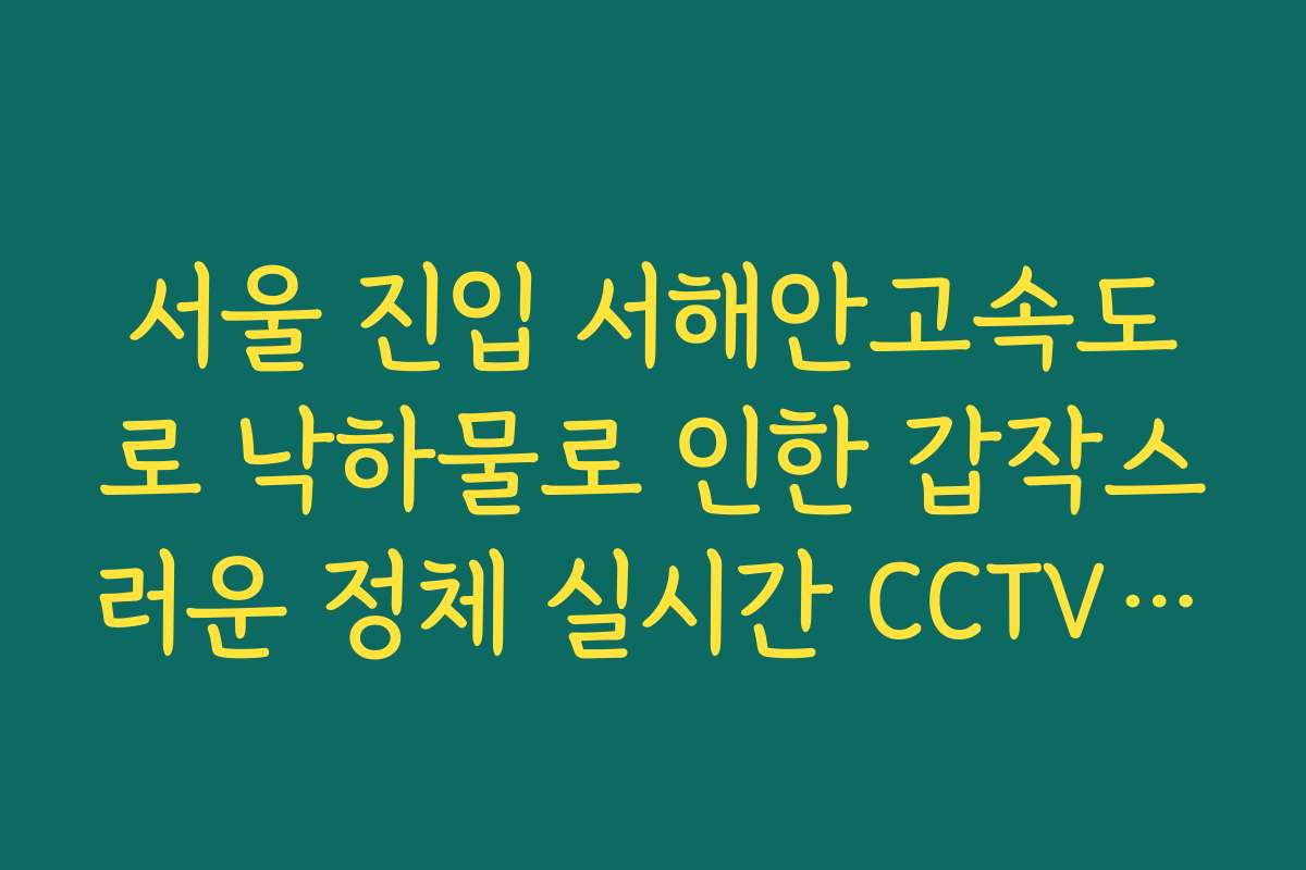서울 진입 서해안고속도로 낙하물로 인한 갑작스러운 정체 실시간 CCTV 확인