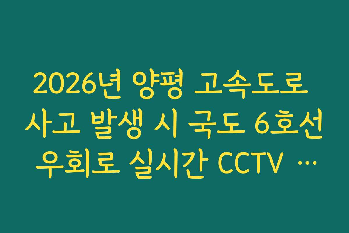 2026년 양평 고속도로 사고 발생 시 국도 6호선 우회로 실시간 CCTV 확인