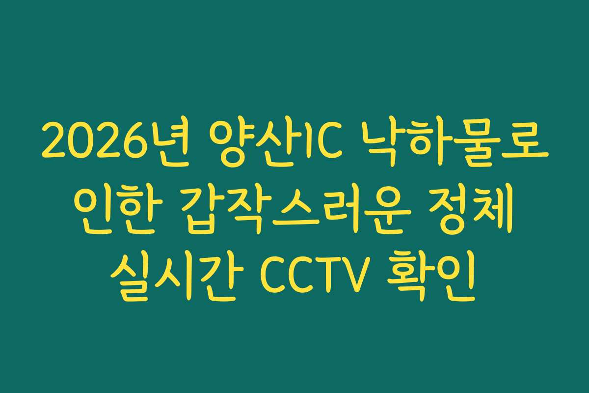 2026년 양산IC 낙하물로 인한 갑작스러운 정체 실시간 CCTV 확인