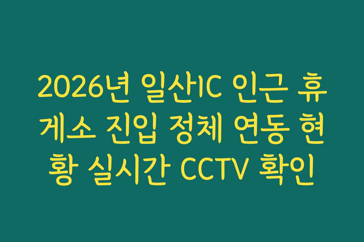 2026년 일산IC 인근 휴게소 진입 정체 연동 현황 실시간 CCTV 확인