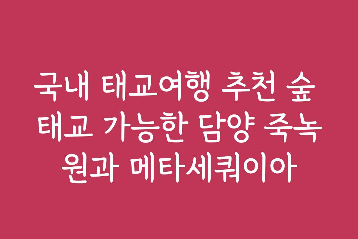 국내 태교여행 추천 숲 태교 가능한 담양 죽녹원과 메타세쿼이아