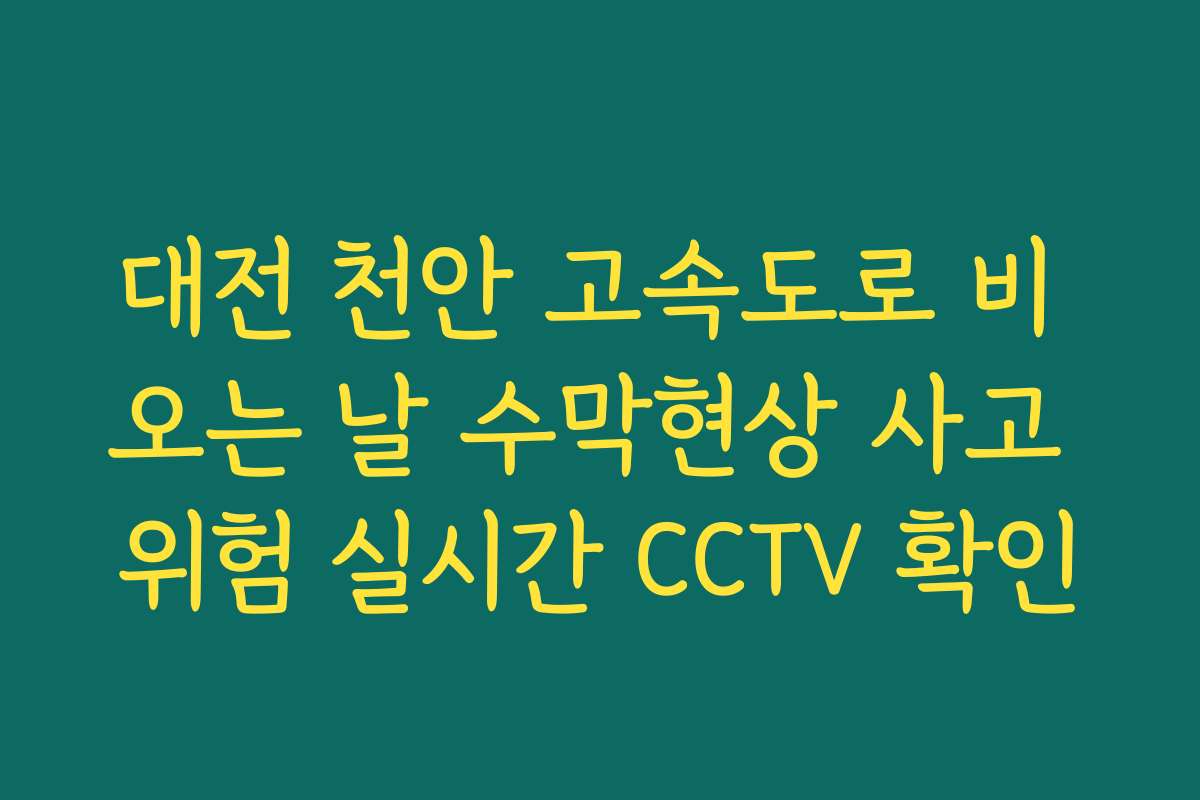 대전 천안 고속도로 비 오는 날 수막현상 사고 위험 실시간 CCTV 확인