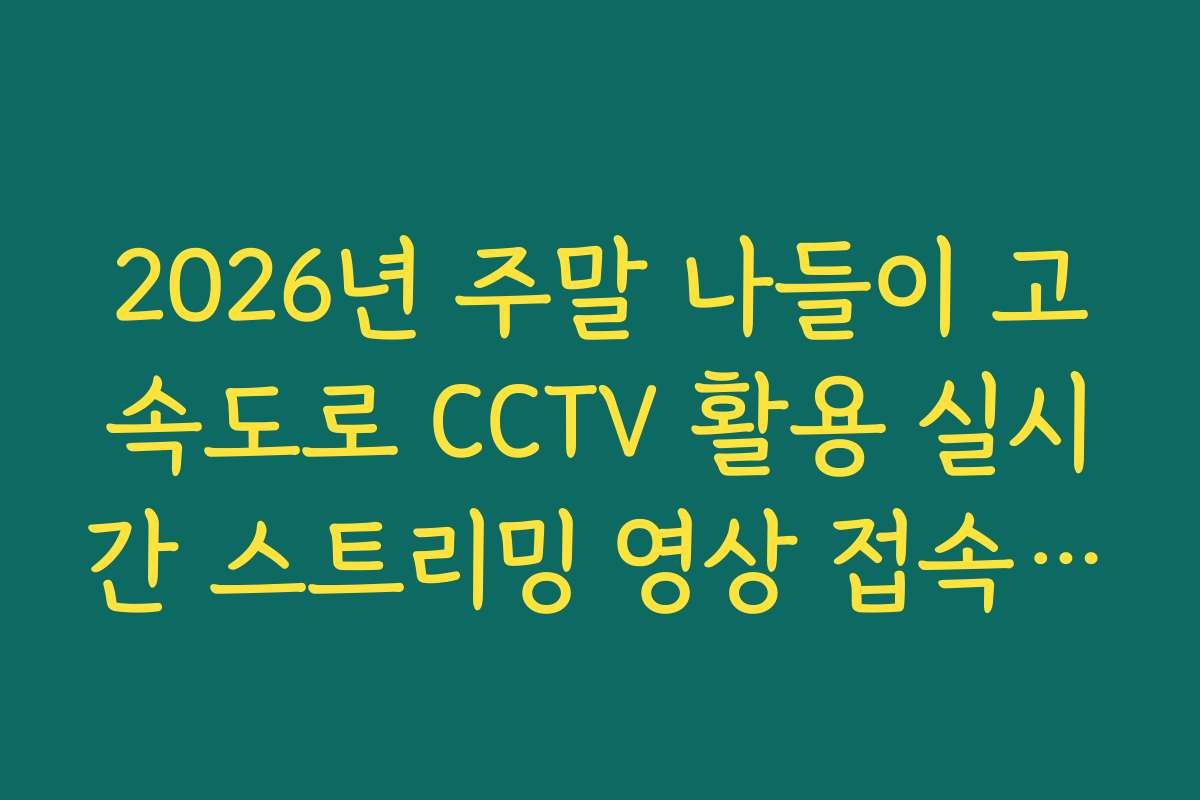 2026년 주말 나들이 고속도로 CCTV 활용 실시간 스트리밍 영상 접속 오류 해결