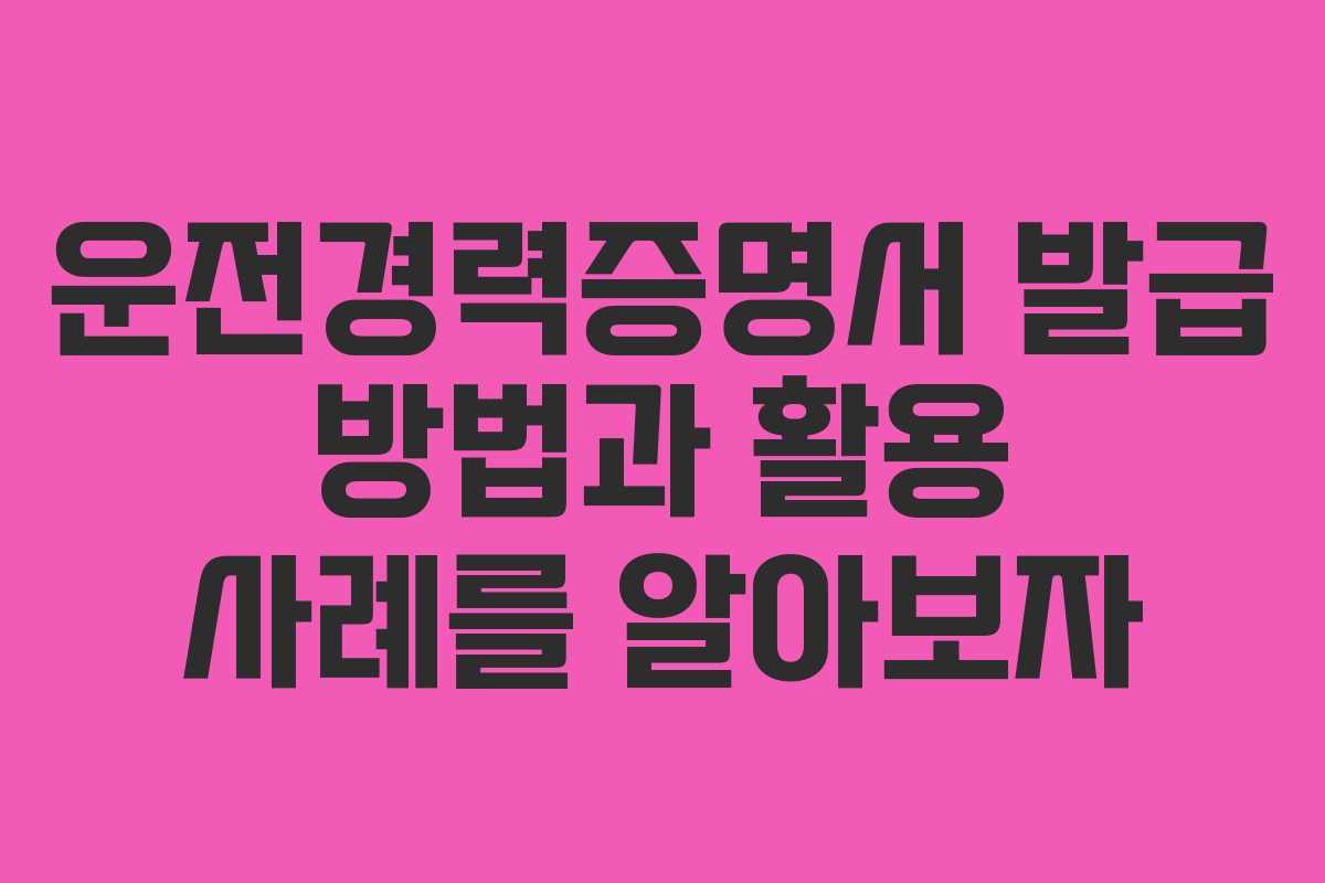 운전경력증명서 발급 방법과 활용 사례를 알아보자 운전경력증명서 발급 방법과 활용 사례를 알아보자