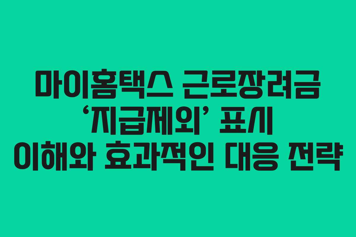 마이홈택스 근로장려금 ‘지급제외’ 표시 이해와 효과적인 대응 전략