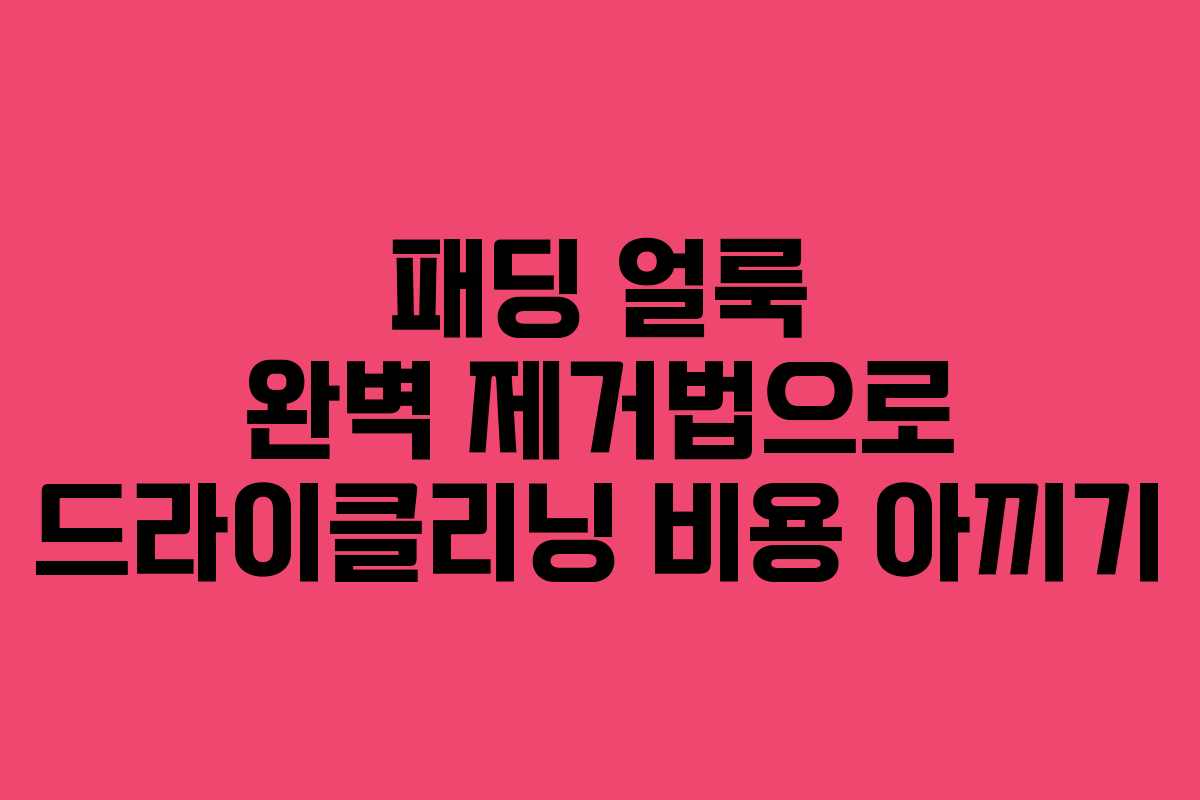 패딩 얼룩 완벽 제거법으로 드라이클리닝 비용 아끼기