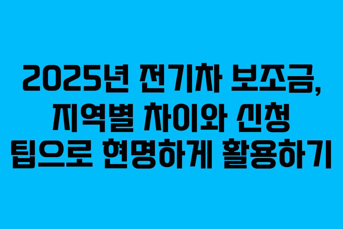 2025년 전기차 보조금, 지역별 차이와 신청 팁으로 현명하게 활용하기