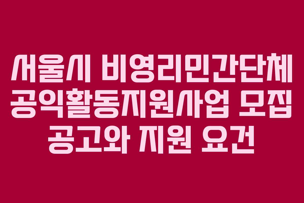 서울시 비영리민간단체 공익활동지원사업 모집 공고와 지원 요건