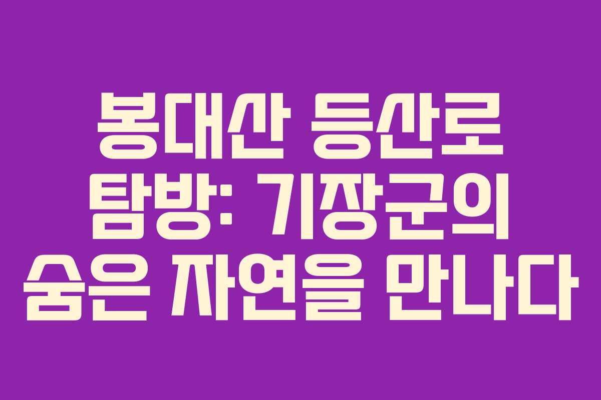 봉대산 등산로 탐방: 기장군의 숨은 자연을 만나다