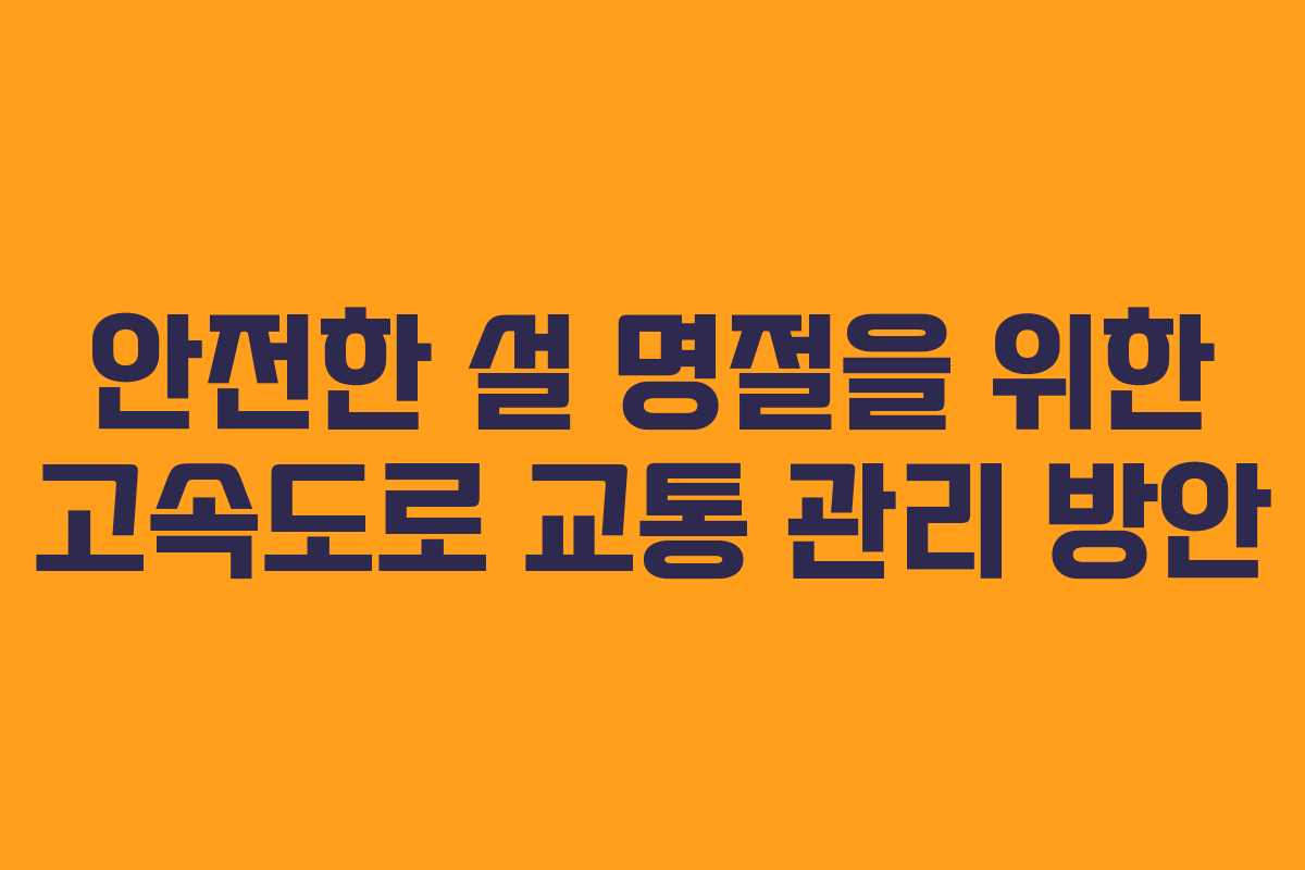 안전한 설 명절을 위한 고속도로 교통 관리 방안