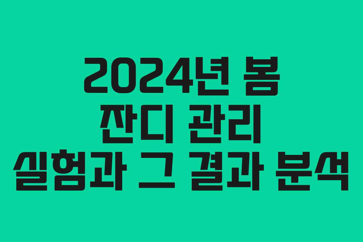 2024년 봄 잔디 관리 실험과 그 결과 분석
