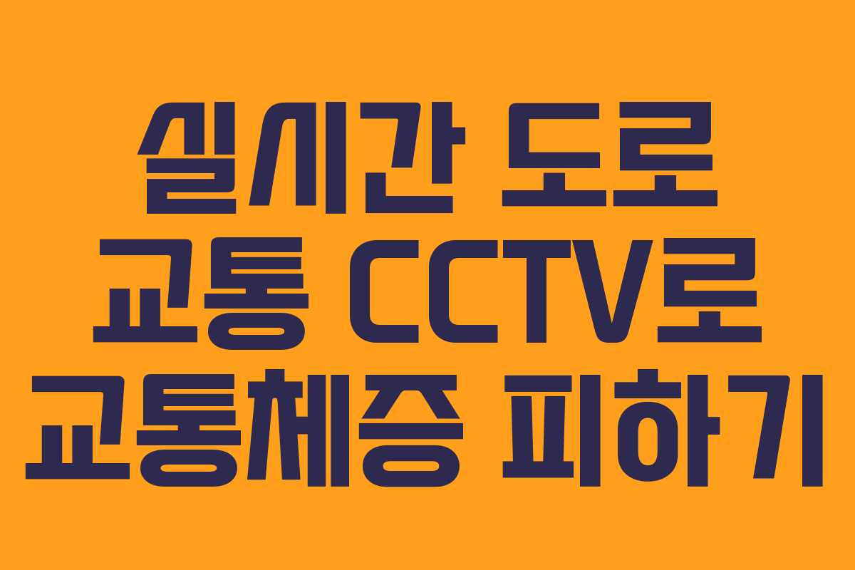 실시간 도로 교통 CCTV로 교통체증 피하기