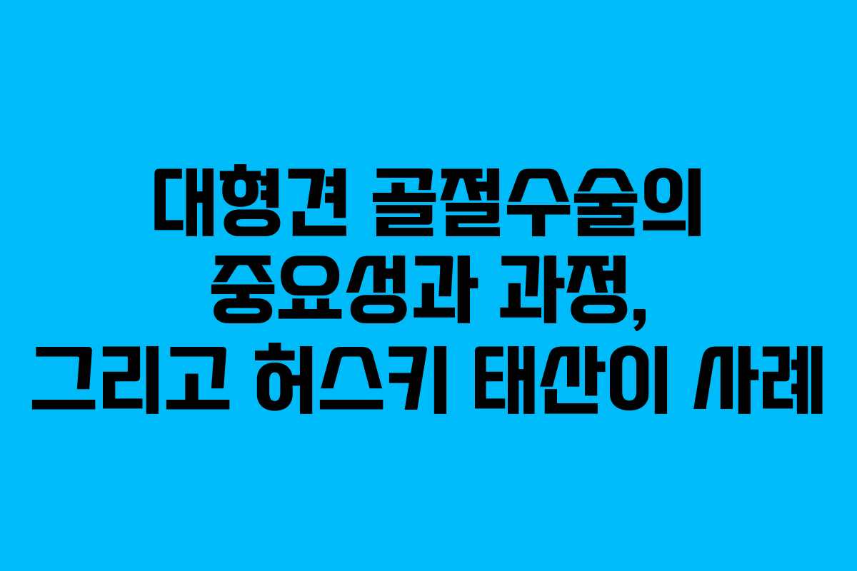 대형견 골절수술의 중요성과 과정, 그리고 허스키 태산이 사례