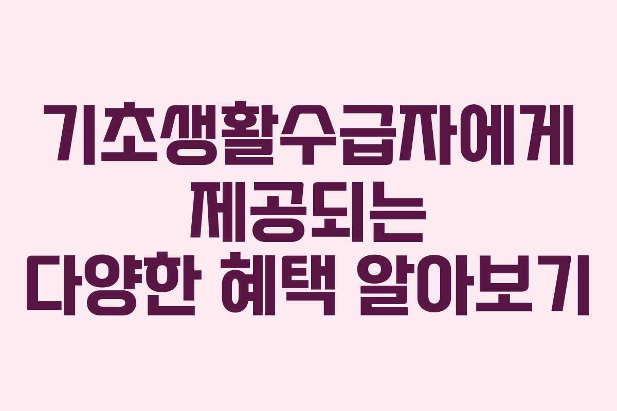 기초생활수급자에게 제공되는 다양한 혜택 알아보기