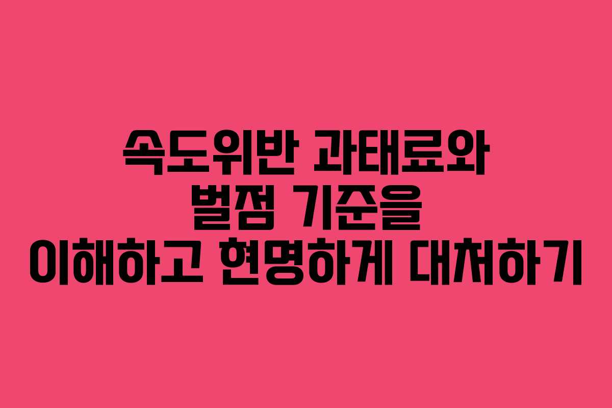 속도위반 과태료와 벌점 기준을 이해하고 현명하게 대처하기