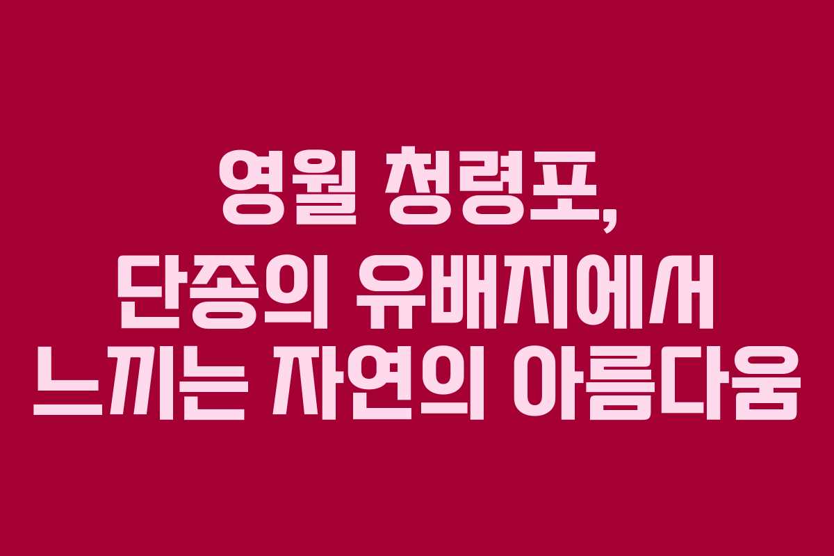 영월 청령포, 단종의 유배지에서 느끼는 자연의 아름다움