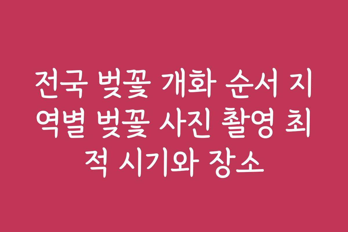 전국 벚꽃 개화 순서 지역별 벚꽃 사진 촬영 최적 시기와 장소