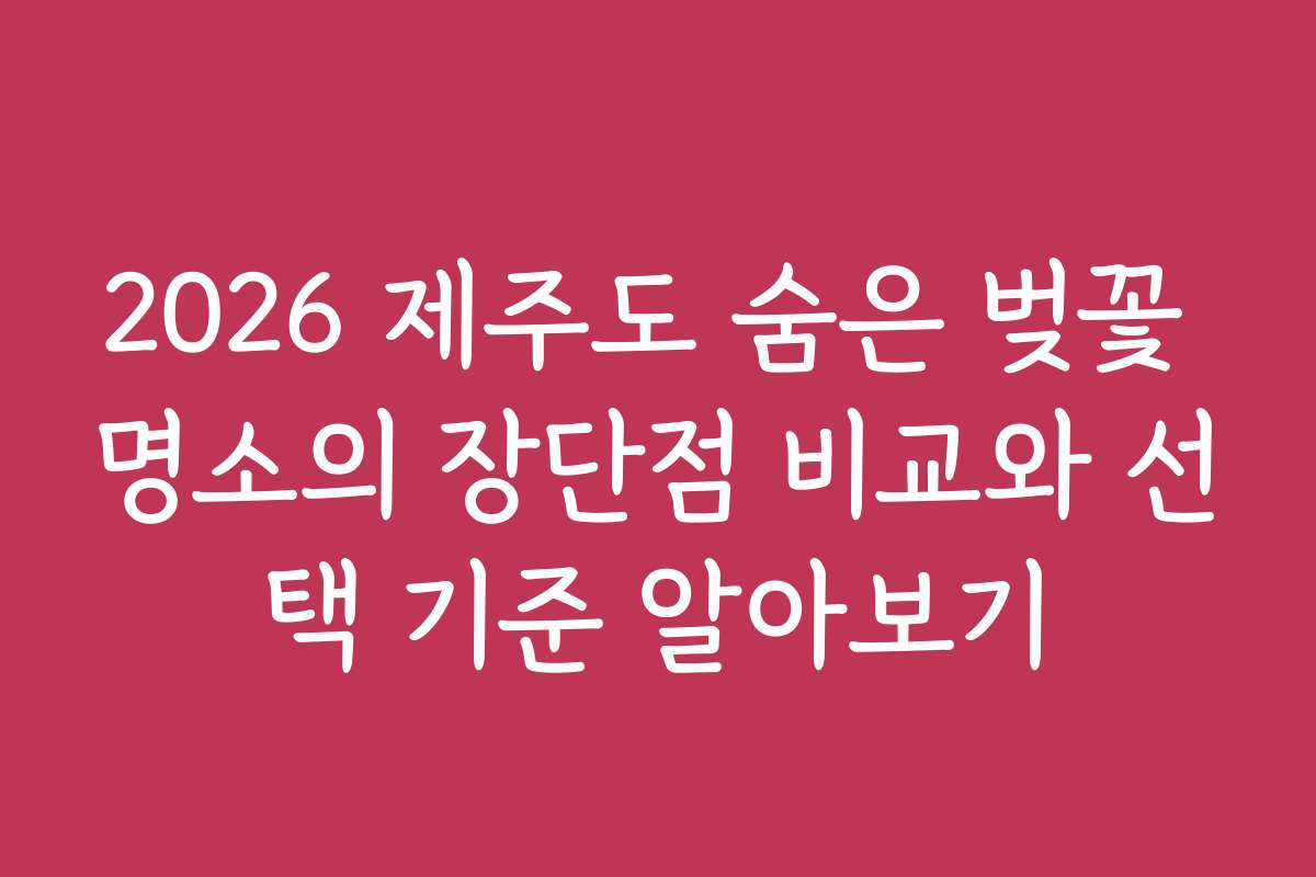 2026 제주도 숨은 벚꽃 명소의 장단점 비교와 선택 기준 알아보기