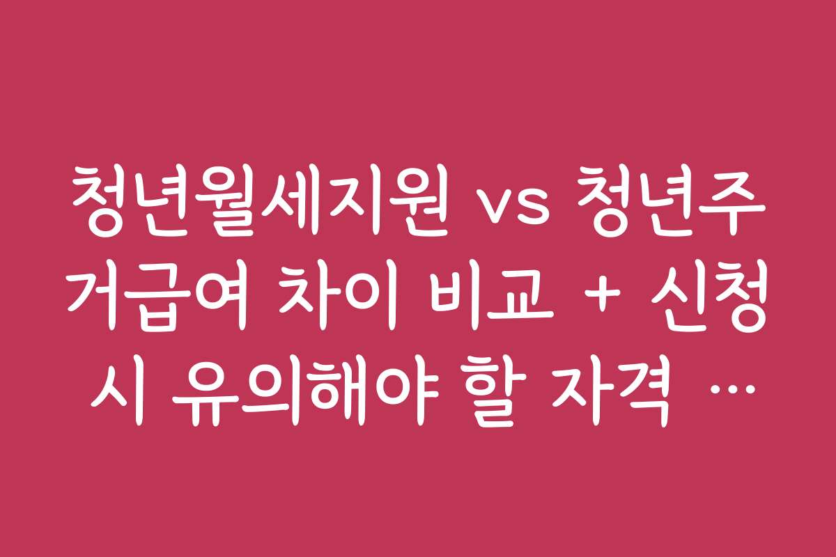 청년월세지원 vs 청년주거급여 차이 비교 + 신청 시 유의해야 할 자격 요건과 조건들