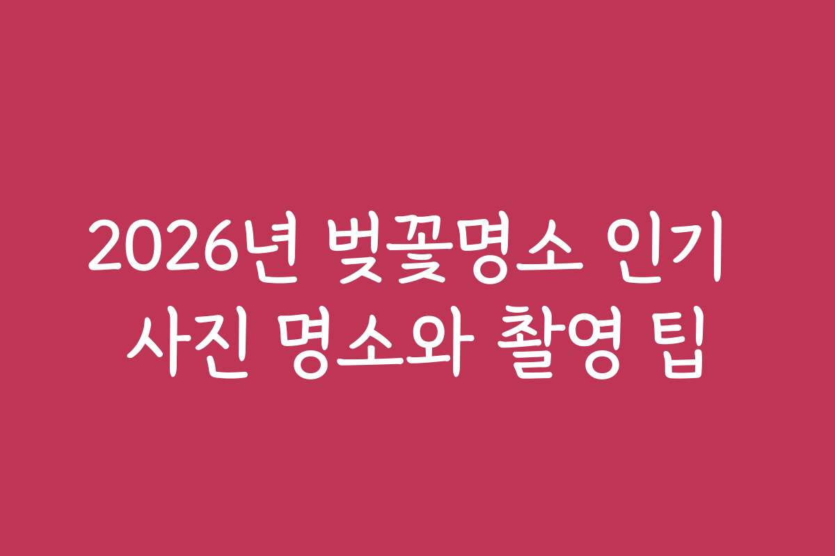 2026년 벚꽃명소 인기 사진 명소와 촬영 팁