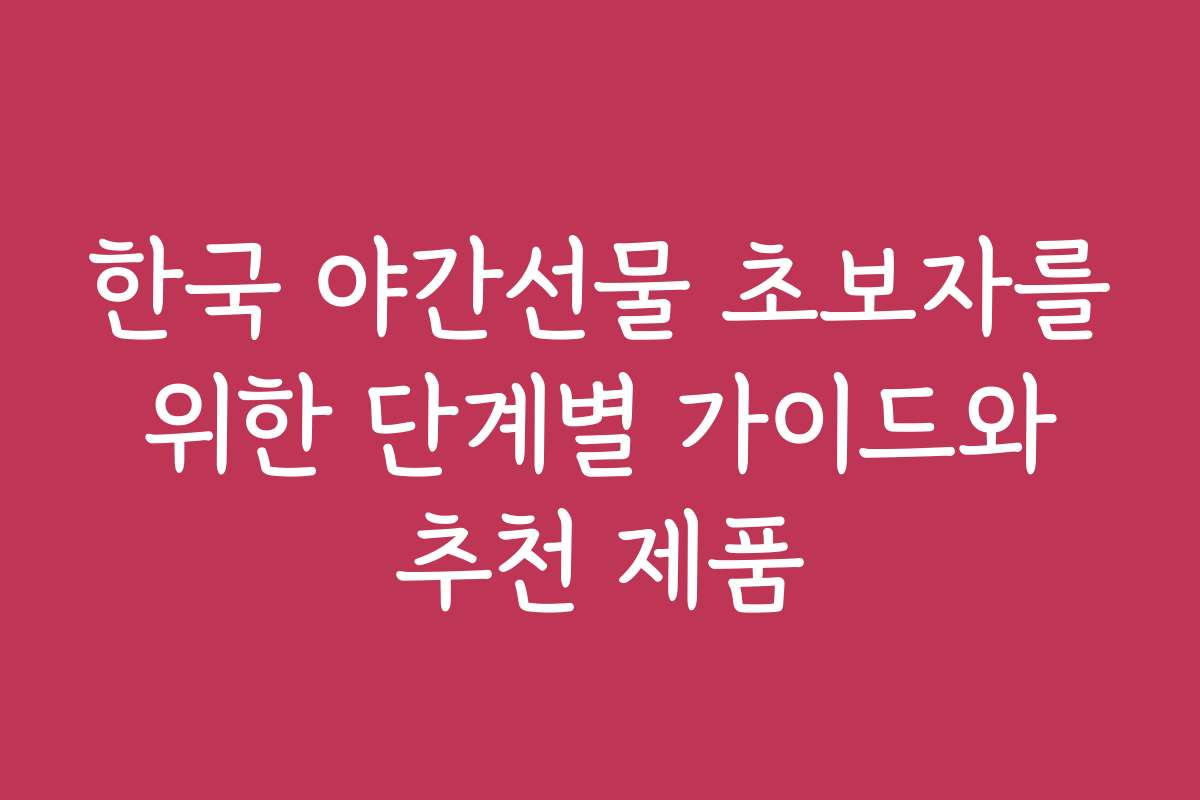 한국 야간선물 초보자를 위한 단계별 가이드와 추천 제품