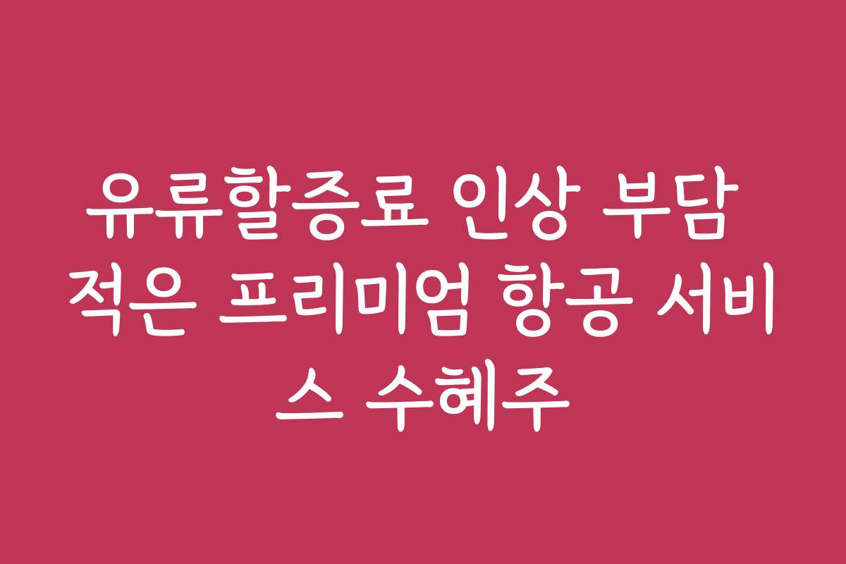 유류할증료 인상 부담 적은 프리미엄 항공 서비스 수혜주