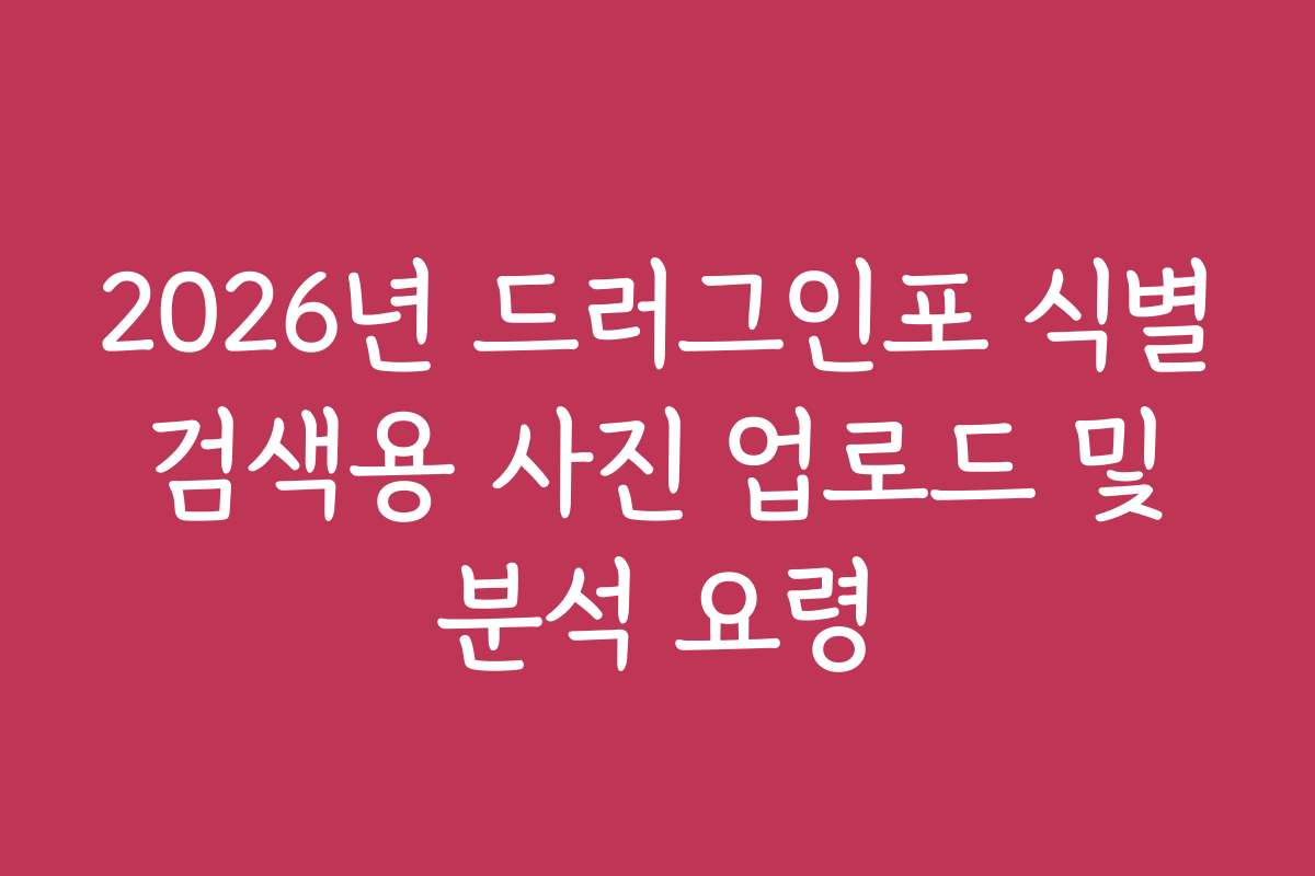 2026년 드러그인포 식별 검색용 사진 업로드 및 분석 요령