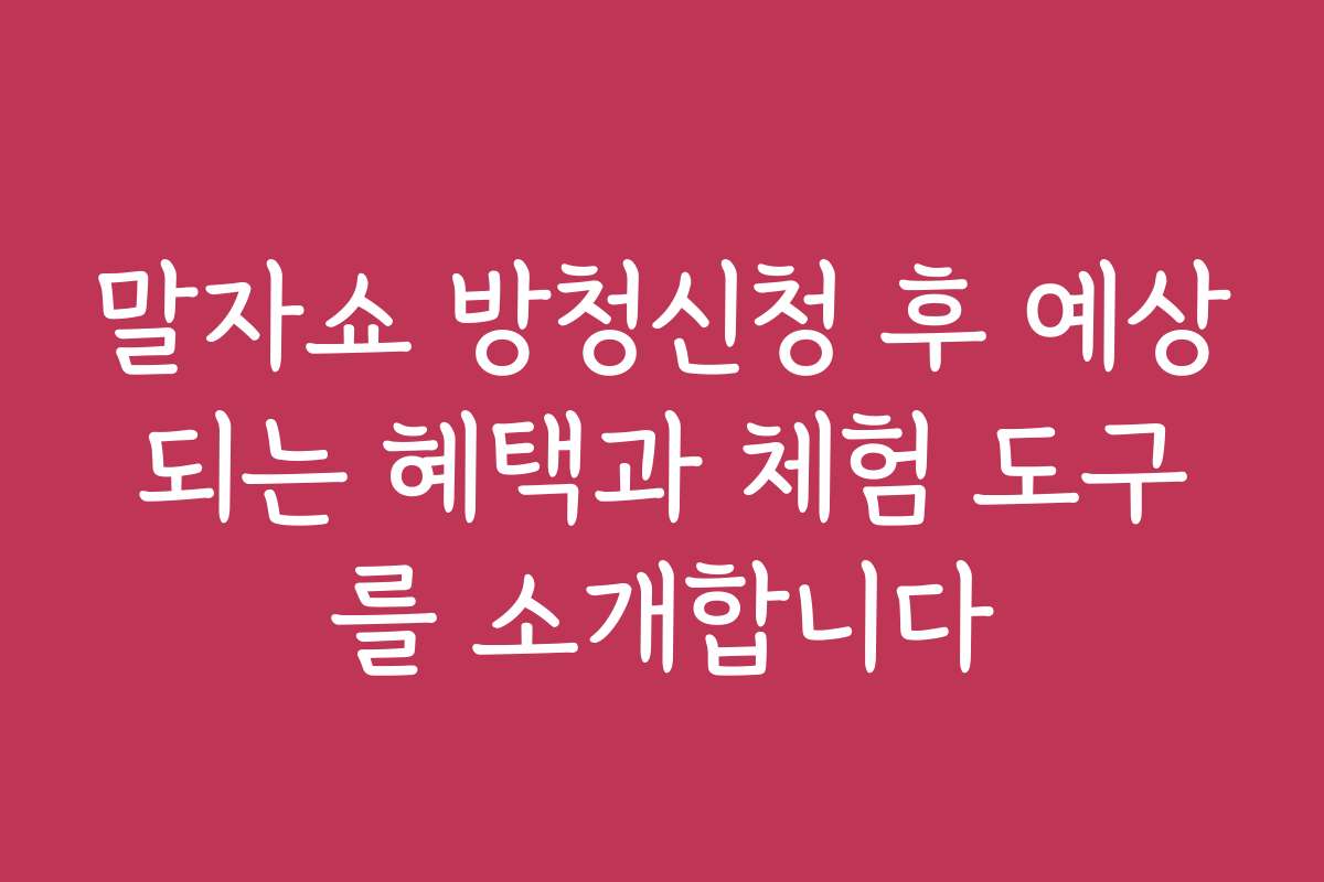 말자쇼 방청신청 후 예상되는 혜택과 체험 도구를 소개합니다