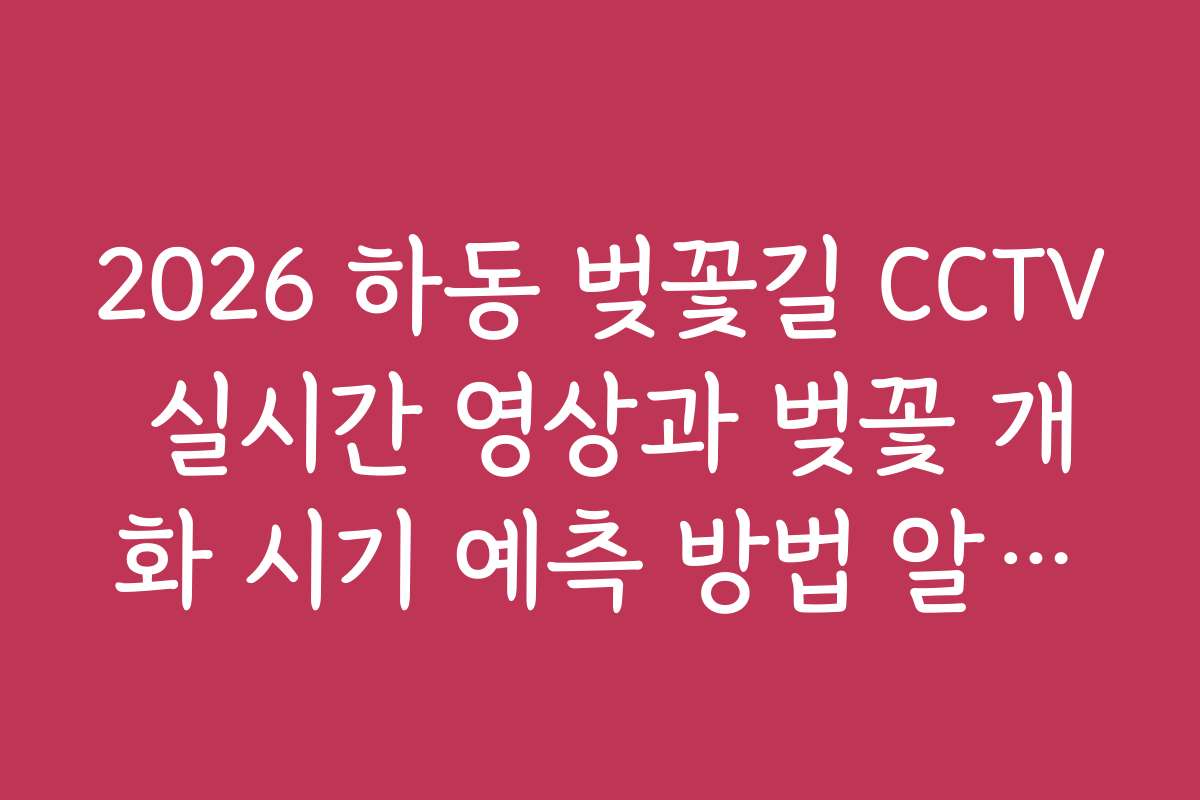 2026 하동 벚꽃길 CCTV 실시간 영상과 벚꽃 개화 시기 예측 방법 알려드려요