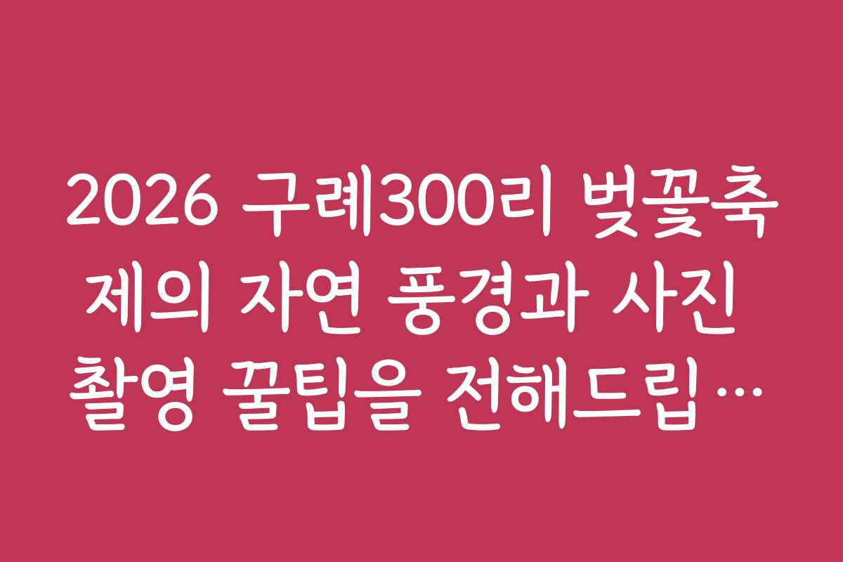 2026 구례300리 벚꽃축제의 자연 풍경과 사진 촬영 꿀팁을 전해드립니다