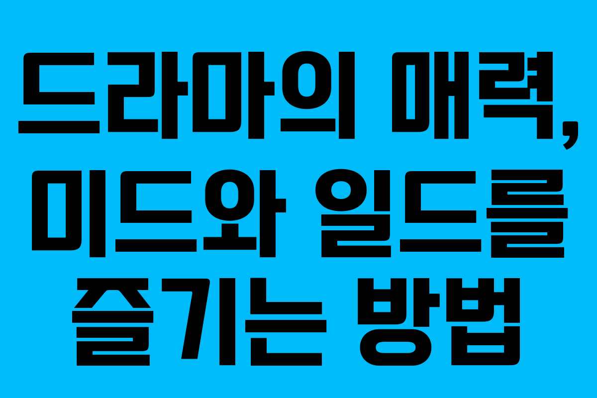 드라마의 매력, 미드와 일드를 즐기는 방법 드라마의 매력, 미드와 일드를 즐기는 방법