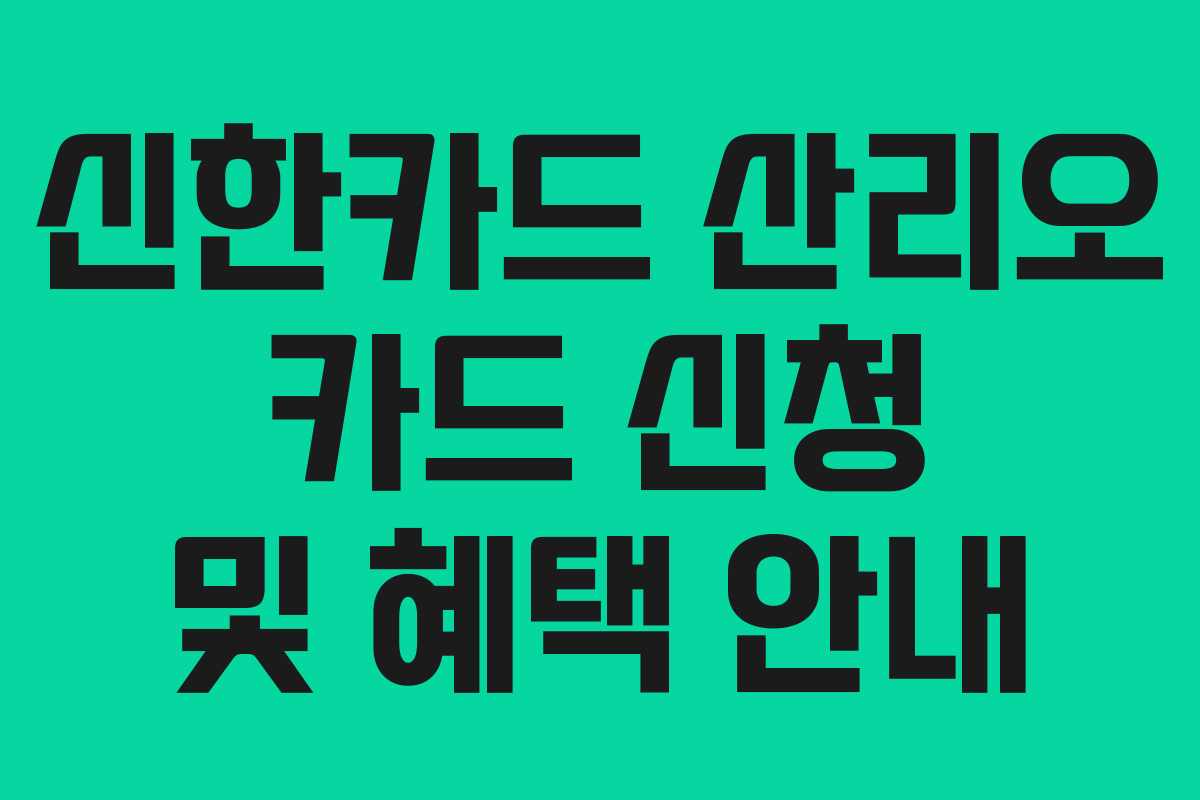 신한카드 산리오 카드 신청 및 혜택 안내 신한카드 산리오 카드 신청 및 혜택 안내