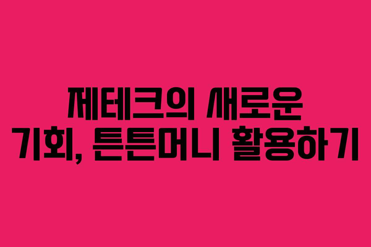 제테크의 새로운 기회, 튼튼머니 활용하기