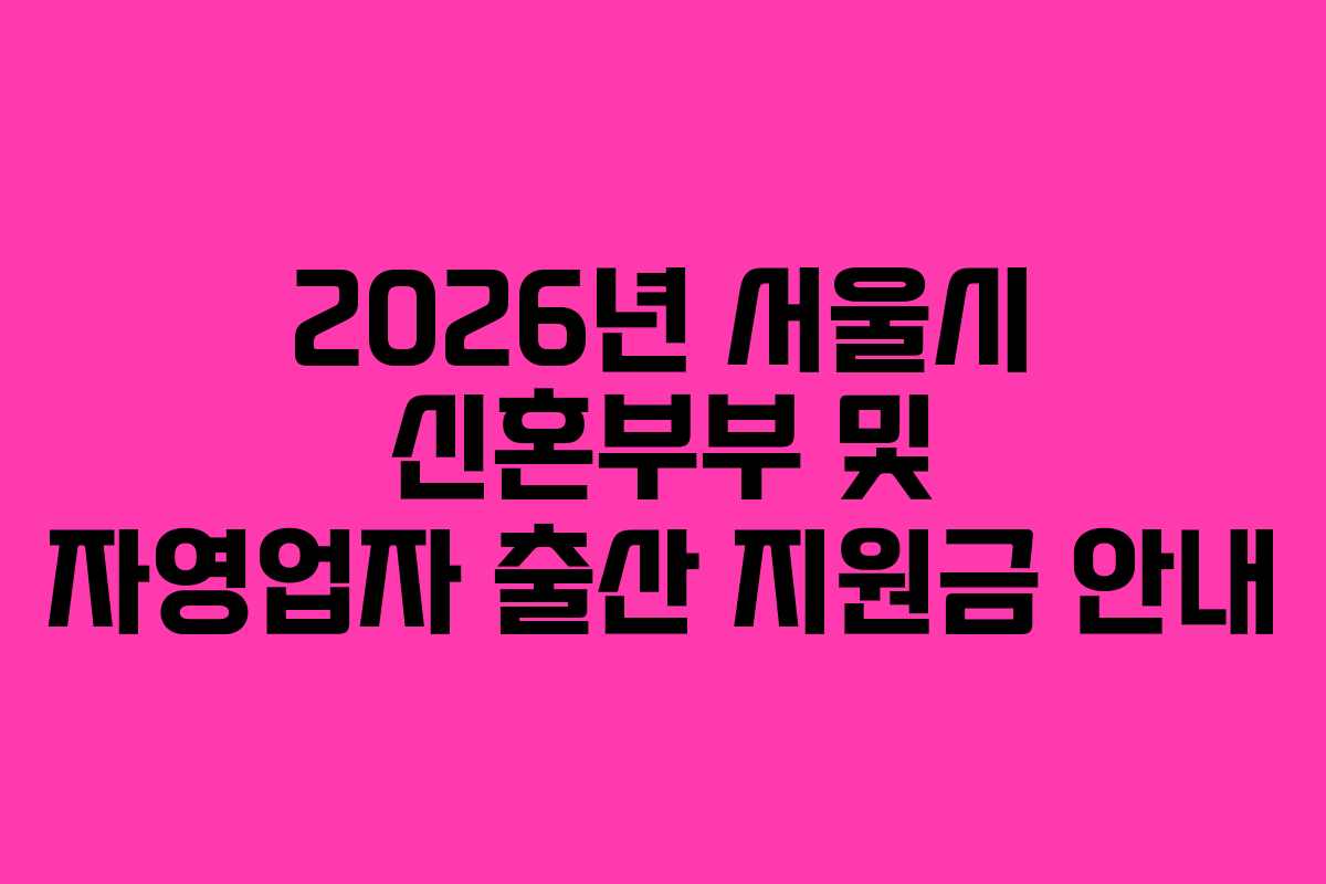 2026년 서울시 신혼부부 및 자영업자 출산 지원금 안내 2026년 서울시 신혼부부 및 자영업자 출산 지원금 안내