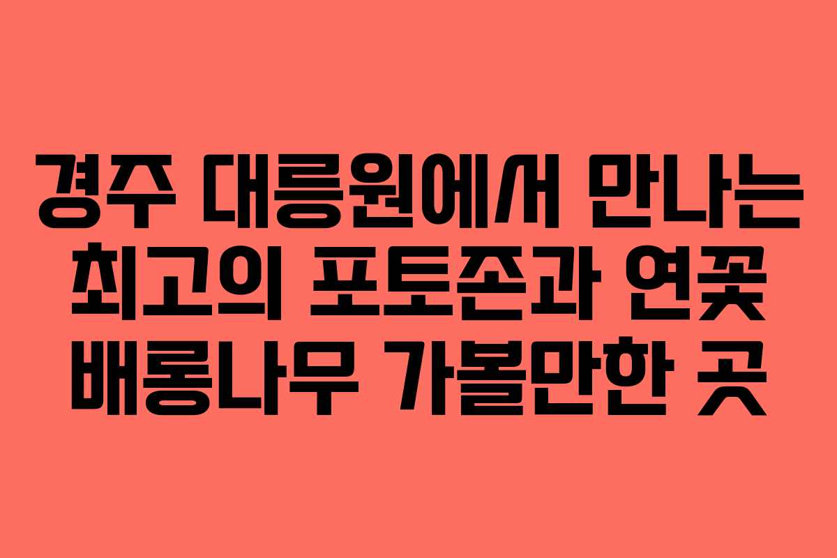 경주 대릉원에서 만나는 최고의 포토존과 연꽃 배롱나무 가볼만한 곳