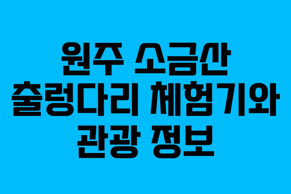 원주 소금산 출렁다리 체험기와 관광 정보