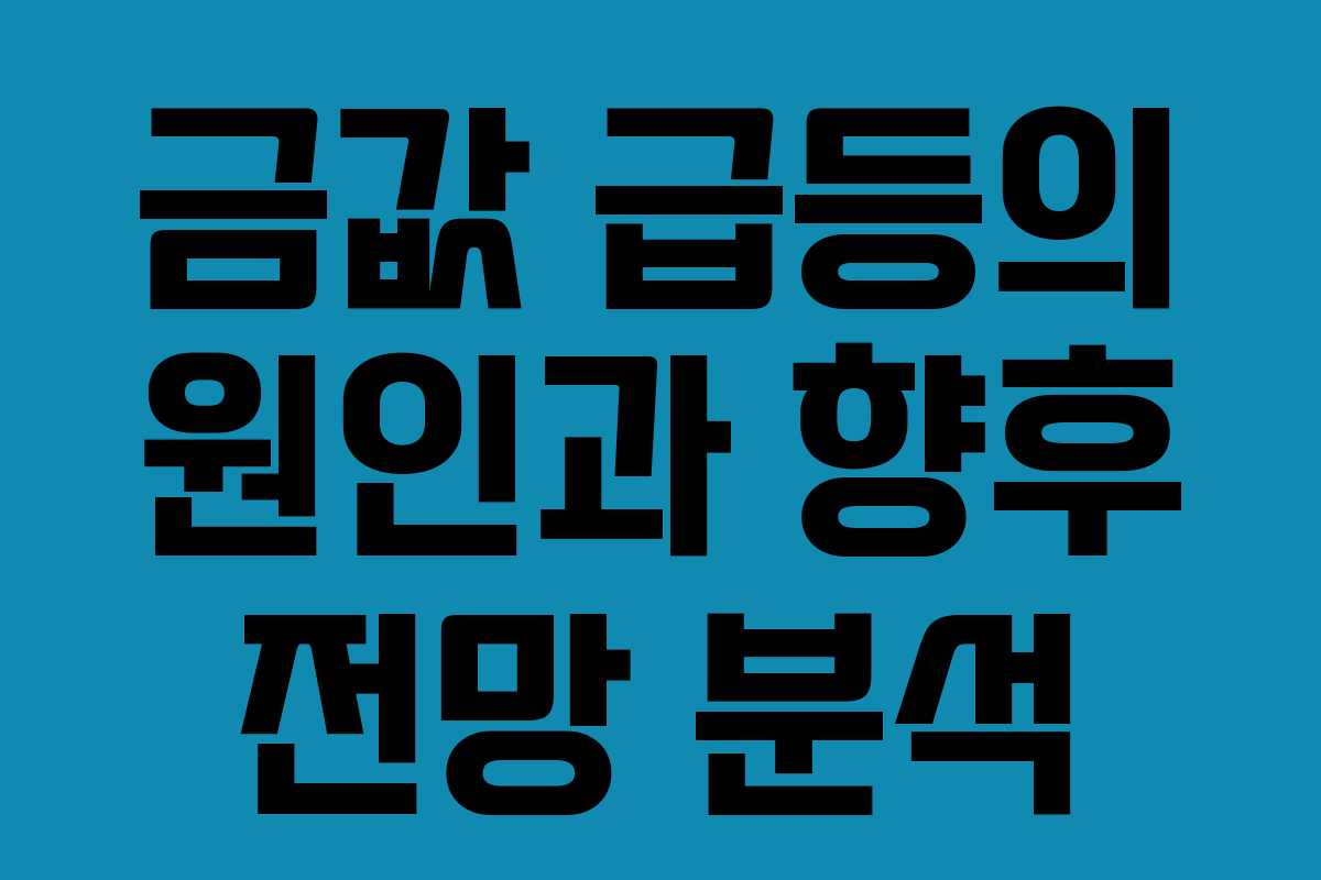 금값 급등의 원인과 향후 전망 분석