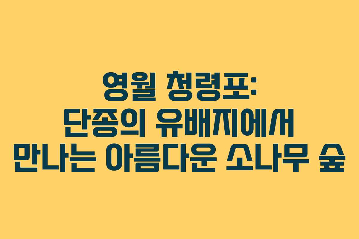 영월 청령포: 단종의 유배지에서 만나는 아름다운 소나무 숲