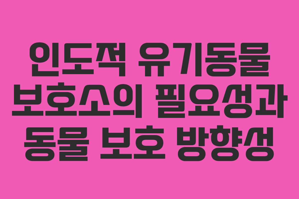 인도적 유기동물 보호소의 필요성과 동물 보호 방향성